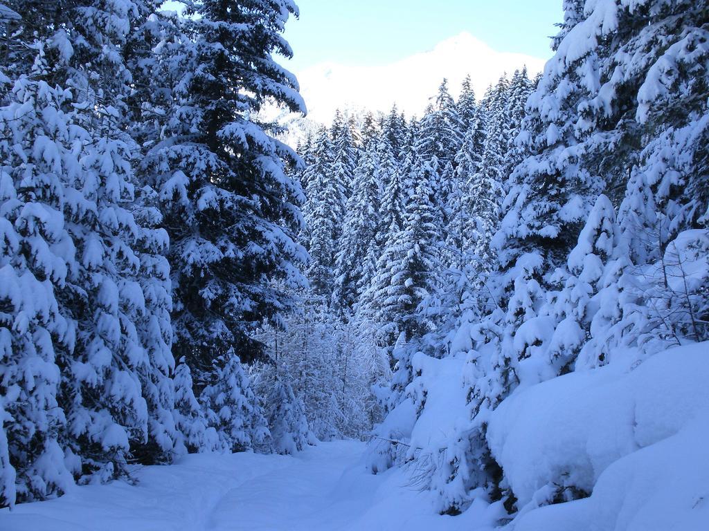 Appartement Oberlechnerhof Rasun di Sopra Esterno foto